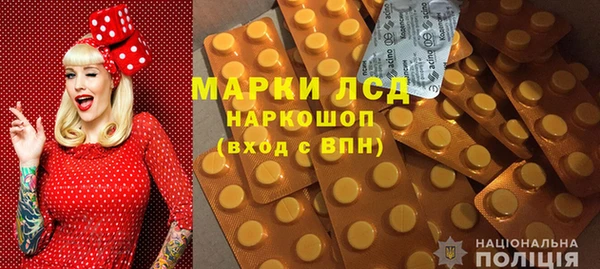 прущие грибы Красноперекопск