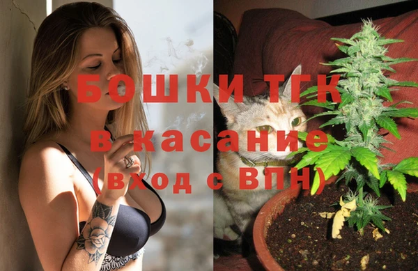 прущие грибы Красноперекопск
