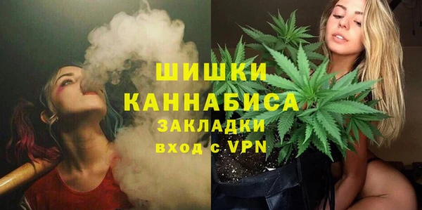 прущие грибы Красноперекопск