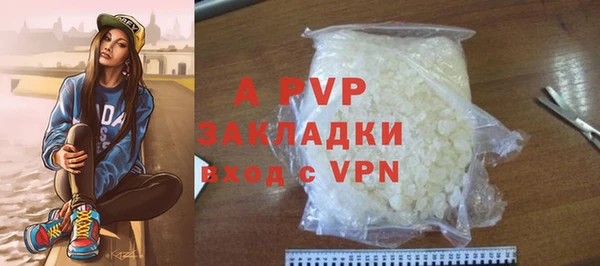 прущие грибы Красноперекопск