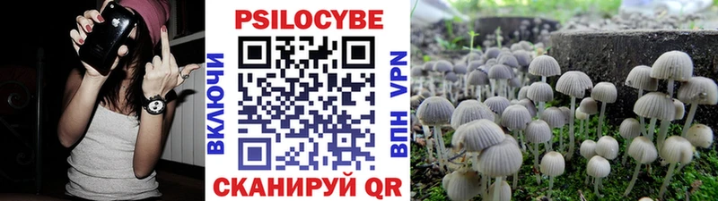 Галлюциногенные грибы Psilocybine cubensis Вольск