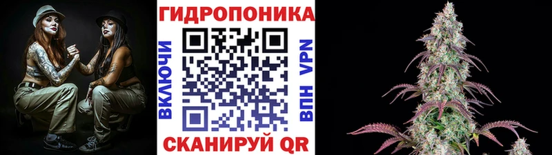 Бошки Шишки SATIVA & INDICA Вольск